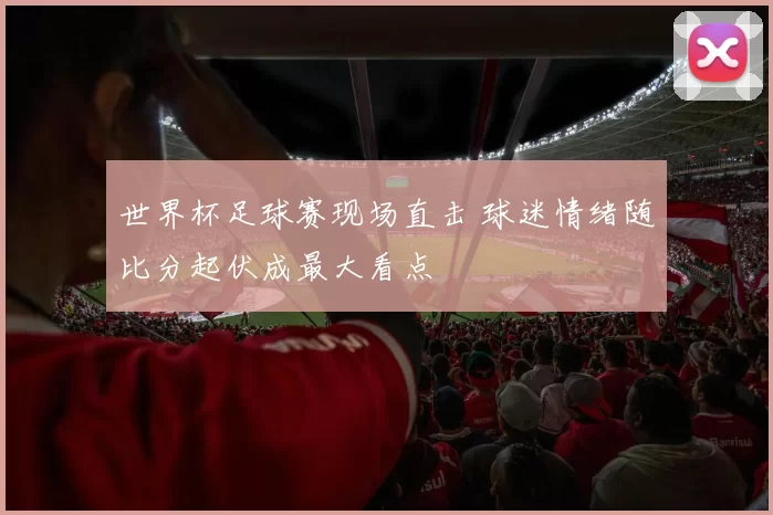 世界杯足球赛现场直击 球迷情绪随比分起伏成最大看点