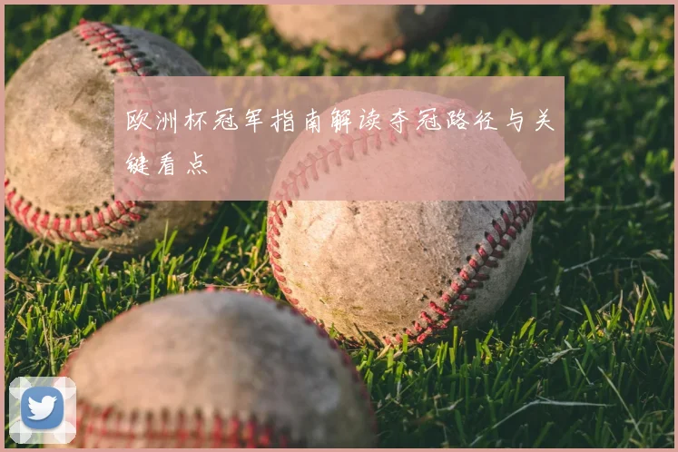 欧洲杯冠军指南解读夺冠路径与关键看点