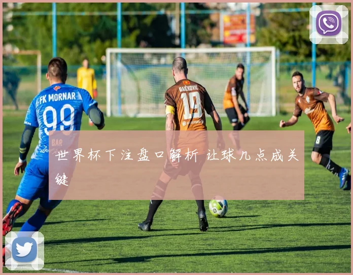 世界杯下注盘口解析 让球几点成关键